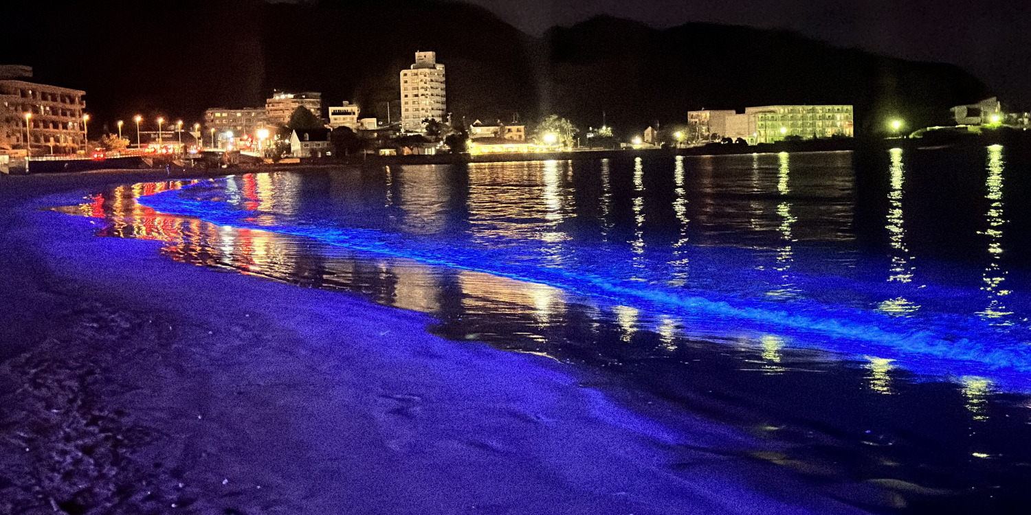 NIGHT WAVE ～光のプロジェクト～in ZUSHI 2024