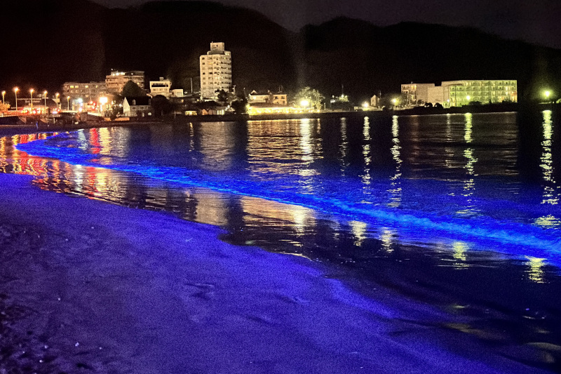 NIGHT WAVE ～光のプロジェクト～in ZUSHI 2024