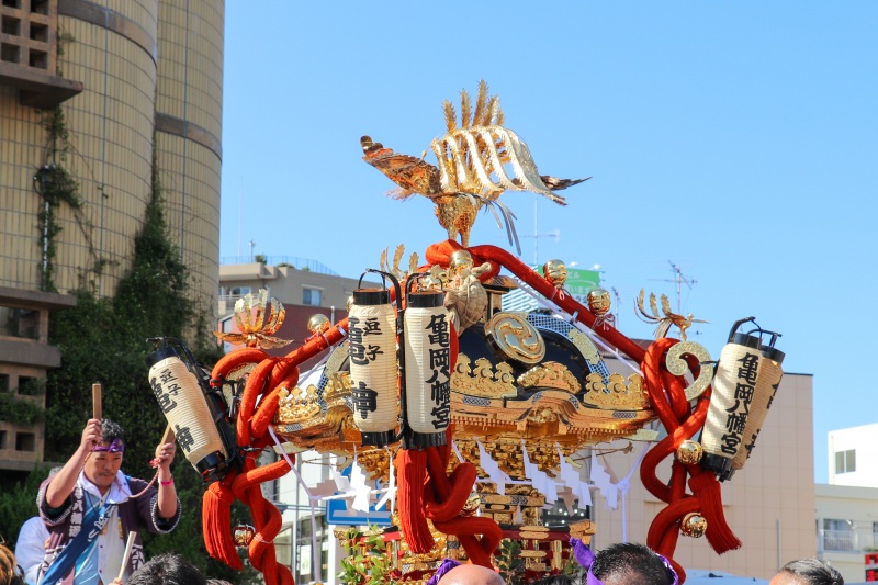 2026年 逗子の夏を彩る、熱気と伝統の祭り!