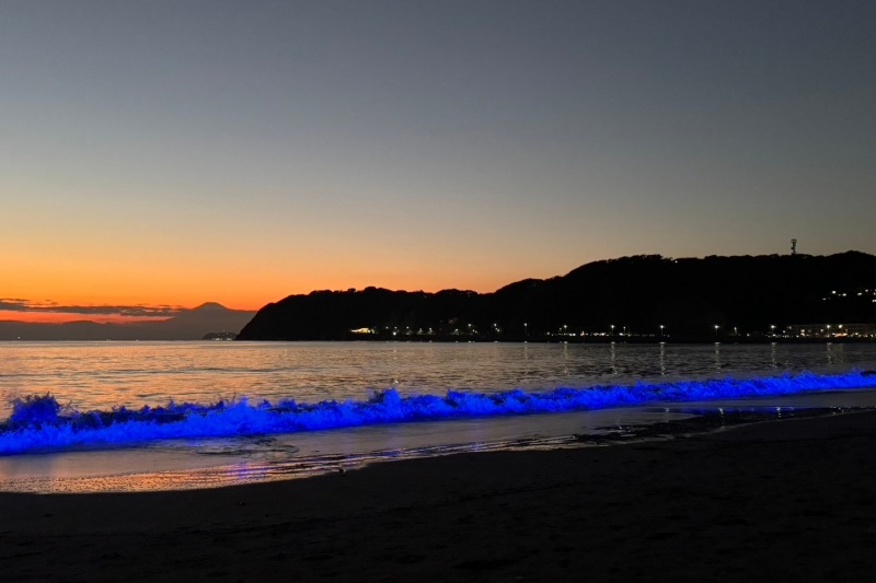 NIGHT WAVE ~光のプロジェクト~in ZUSHI 2026