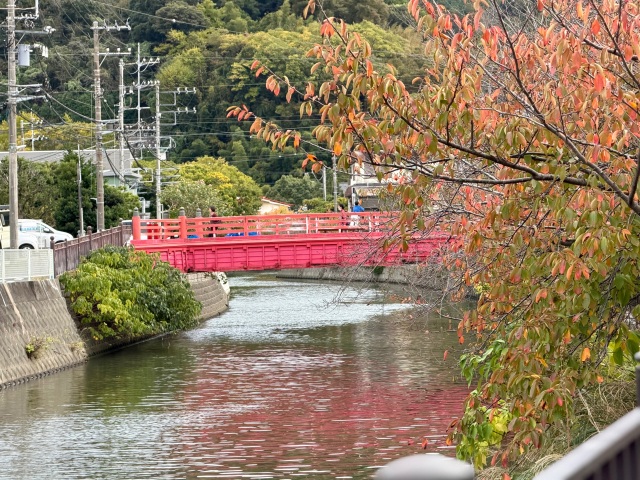 田越川遊歩道の秋