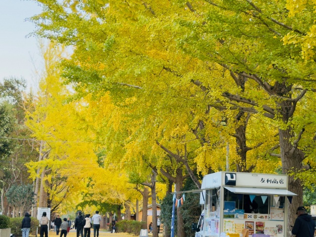 南郷上ノ山公園