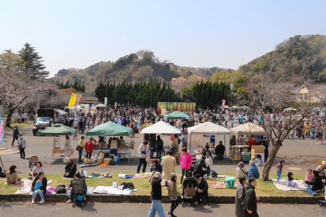 逗子さくらまつり