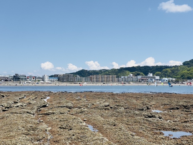 第13回逗子海岸磯あそび